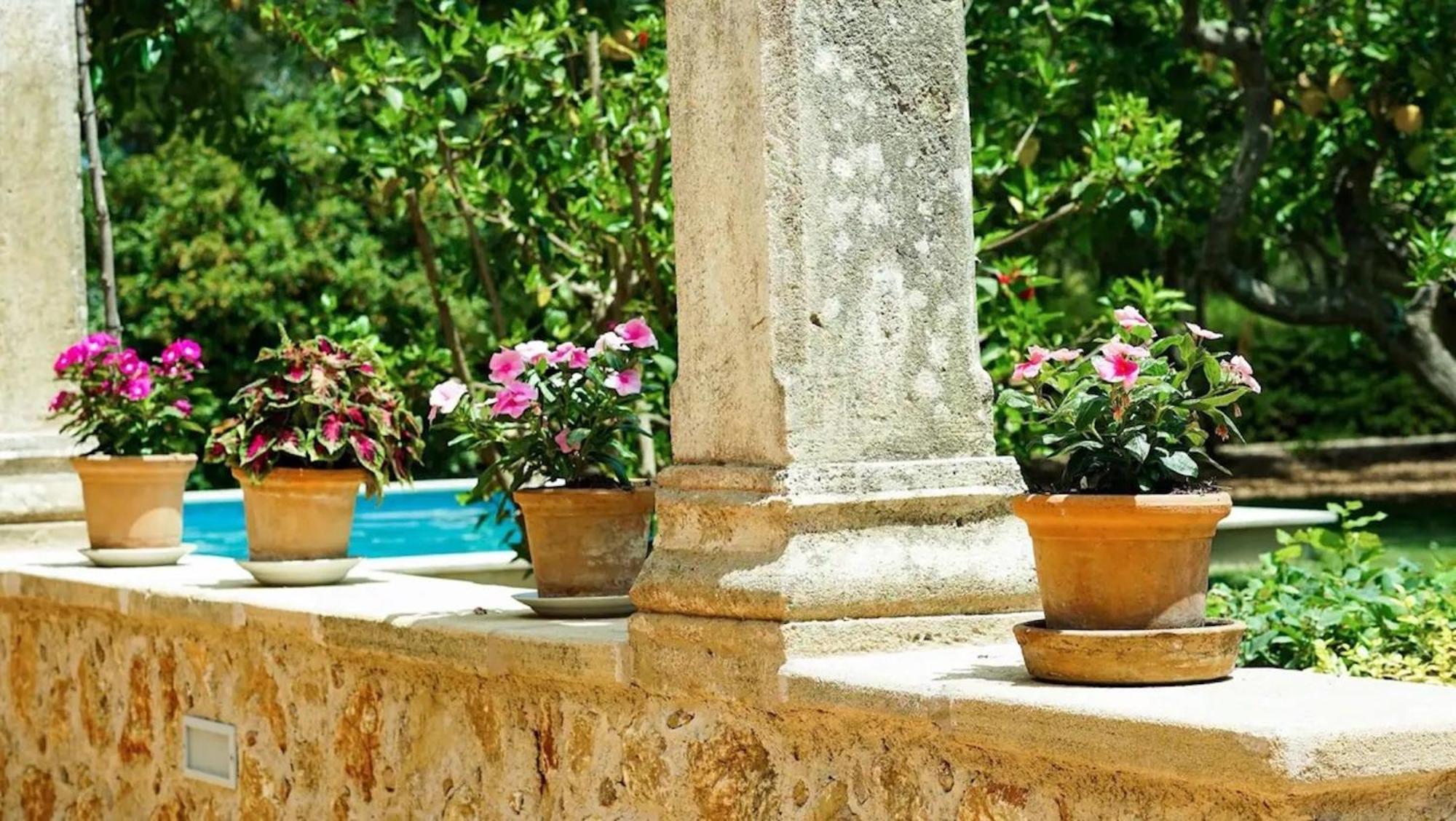 Puntxa Vakantiehuis